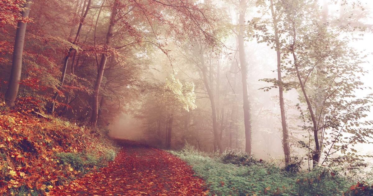 Air Player app interface on a tablet showing channel guide and settings