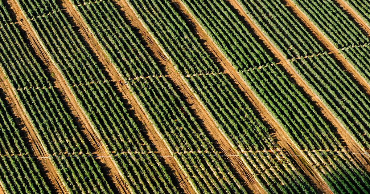 All TV Player IPTV interface on an Apple TV 4K connected to a living room television