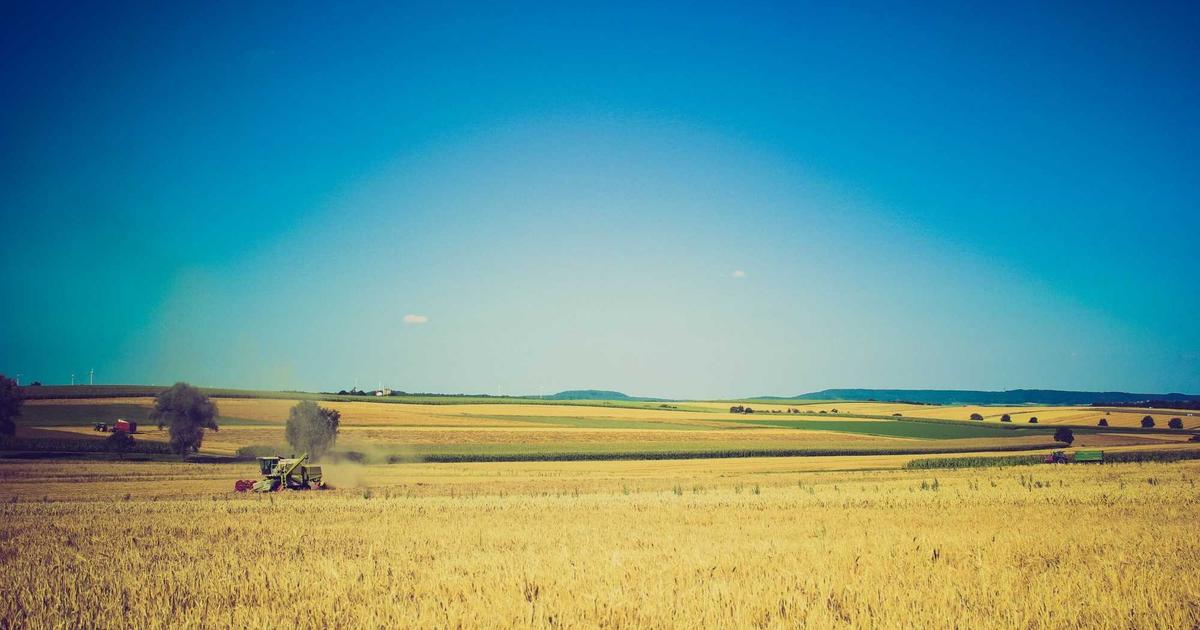 Bob Pro TV interface showing Norwegian channel guide on a large screen TV