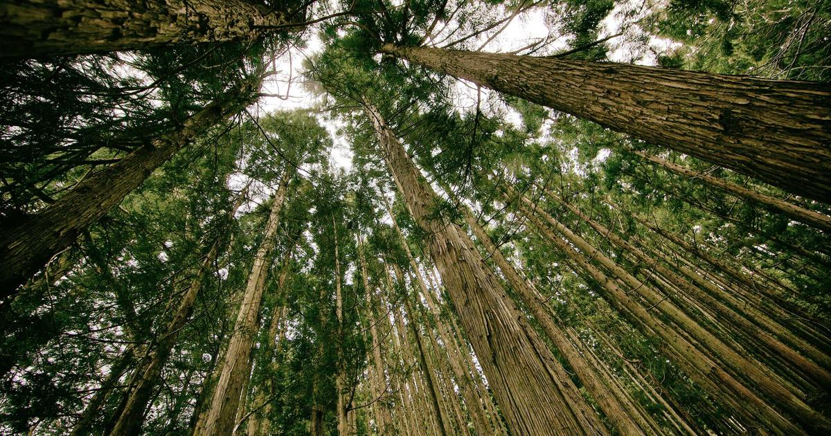 Family watching IPTV on a 4K television in a Belgian living room