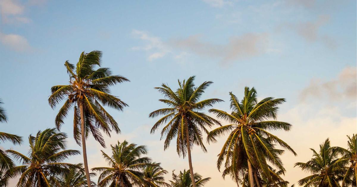 IBO STB set-top box connected to a television showing Icelandic channel guide